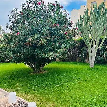 Acogedor Apartamento En Playa San Juan Apartment *