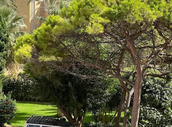 Acogedor Apartamento En Playa San Juan Apartment